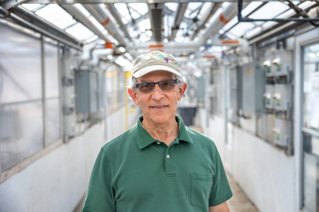 New Cornell Variety Raises Grape Expectations For NYS Wine News